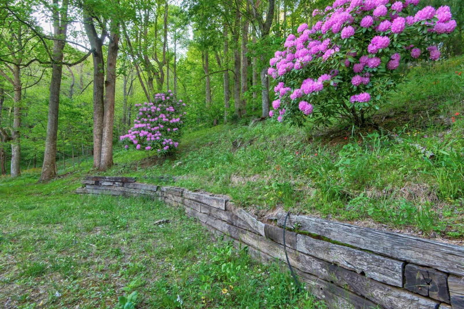 Paws A While Villa Blowing Rock Bagian luar foto